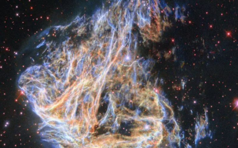 精准无误！超新星程序对1000颗垂死恒星进行“零差错”分类